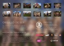 Calendario Solidario Madrid Titanes 2025